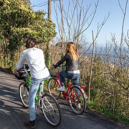 Amura - Due Golfi Apartament